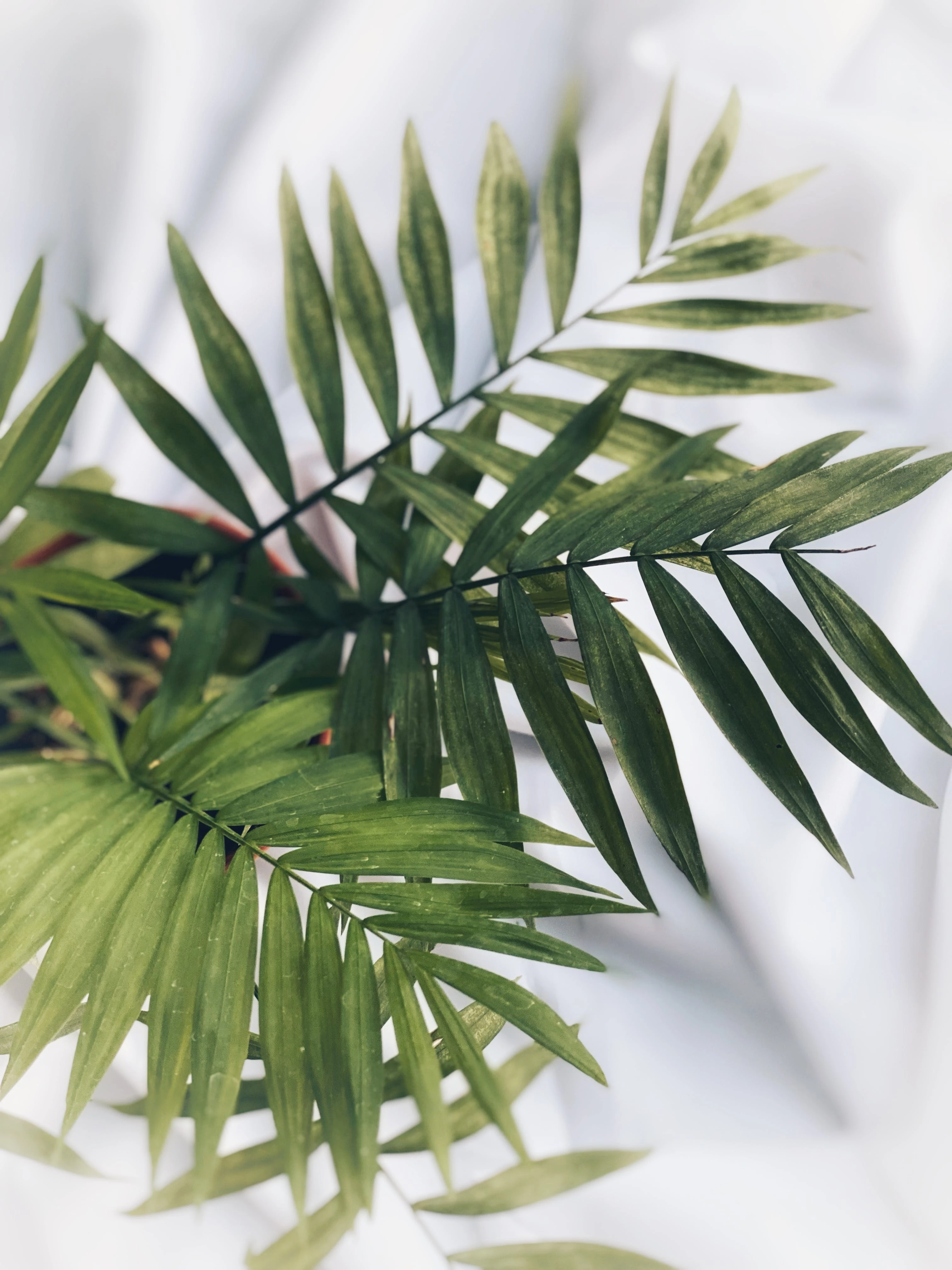 Obrazek opisujący artykuł zatytułowany na portalu bank-nieruchomosci.pl