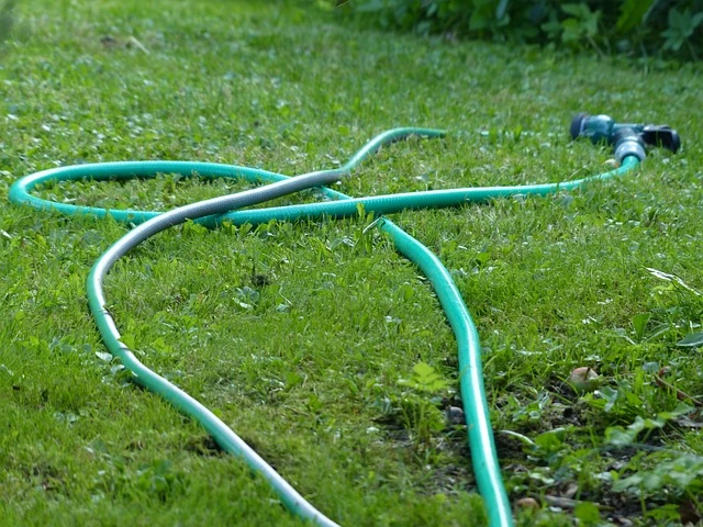 Sposoby na skuteczne podlanie trawnika