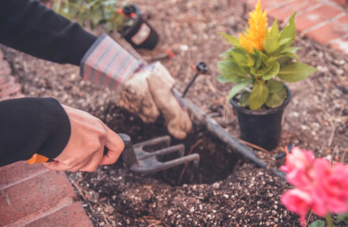 Obrazek opisujący artykuł zatytułowany na portalu bank-nieruchomosci.pl