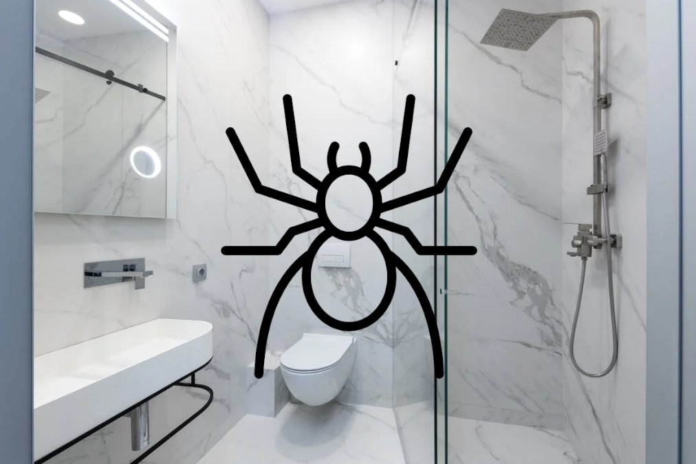 Pająk w toalecie. Czy spuszczony w toalecie pająk może przeżyć?