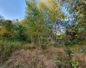 wz, lokalizacja, możliwość dokupienia działek obok | Zdjęcie 7