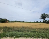 Działka Budowlana (2000 m2) MEDIA (Brzozowiec) | Zdjęcie 9