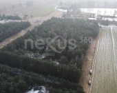 Działki budowlane w Drogoszowicach, Twardogóra | Zdjęcie 3