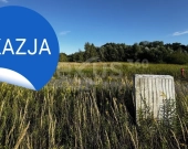 Odkryj Magię Podkowy Leśnej–Perła Nadolic Wielkich | Zdjęcie 4