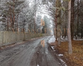 Atrakcyjna działka budowlana 3600 m² - Groszowice | Zdjęcie 1