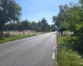 Działka budowlana Kolonia Borowno | Zdjęcie 1