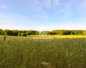 Kameralne działki budowlane w Kłodawie, 17-25 ar | Zdjęcie 4