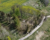 duża działka w Nowych Bielicach | Zdjęcie 4