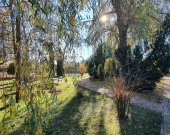 Wielofunkcyjny obiekt z pięknym ogrodem w Lublinie | Zdjęcie 3