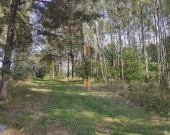 DZIAŁKA ROLNA/INWESTYCYJNA| 6,58HA |BLISKO JEZIORA | Zdjęcie 2