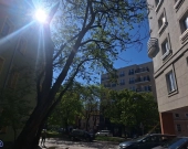 1pok, 22met, Okolice Ptasiej WINDA/2012 (Wrocław) | Zdjęcie 14