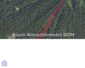 Działka leśna Jamki gm Konopiska | Zdjęcie 1