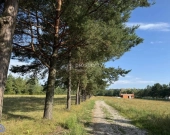 Działki budowlane Piskórka | Zdjęcie 2