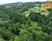 Działka leśna w gminie Ryglice | Zdjęcie 4