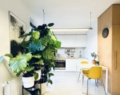 1pok, 33met, okolice Traugutta ANTRESOLA/TARAS/WINDA (Wrocław) | Zdjęcie 1