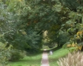 3pok, 51met, Okolice Stabłowickiej BALKON/WINDA/PARKING (Wrocław) | Zdjęcie 14