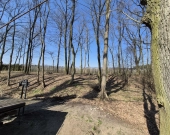 Parkowe, pozwolenie na budowę, media, drzewa | Zdjęcie 2