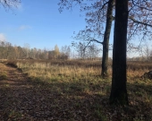 pod produkcję, magazyny lub usługi | Zdjęcie 2