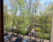 3pok, 50met, Okolice Fiołkowej PIWNICA/PARKING (Wrocław) | Zdjęcie 8