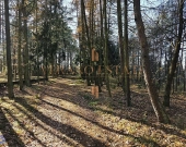 Rezydencja z potencjałem komercyjnym | rzeka | las | Zdjęcie 9