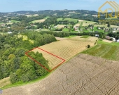 Działka rolna 0,33 ha w gminie Ryglice | Zdjęcie 2