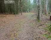 Działka w otoczeniu lasu, nad Zalewem Siemianówka | Zdjęcie 5