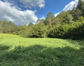 Urokliwa działka w Bieszczadach - Hoczew | Zdjęcie 9