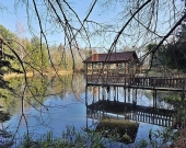 Rezydencja z potencjałem komercyjnym | rzeka | las | Zdjęcie 3