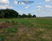 działka budowlana 73ar, Kłębanowice/Polkowice | Zdjęcie 3