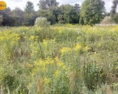 ŚWIETNA INWESTYCJA | Zdjęcie 1