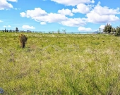 Działka rekreacyjna k. jeziora na Warmii, 1085m2 | Zdjęcie 3