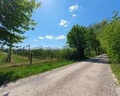 5 do wyboru na Klonowej, wymarzona lokalizacja | Zdjęcie 2