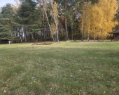 Z lasem, wz, mediami przy prywatnej drodze | Zdjęcie 5