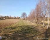 Działka inwestycyjna * 4600m2 * powiat strzeliński | Zdjęcie 5