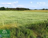 Działka, Krasne | Zdjęcie 3