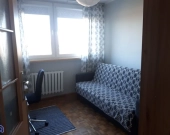 3pok, 54met, Okolice Legnickiej BALKON/PIWNICA (Wrocław) | Zdjęcie 6