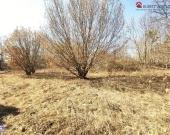 Działka budowlano-rolna w spokojnej okolicy | Zdjęcie 1