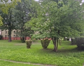 Mieszkanie z niskim czynszem | Zdjęcie 7