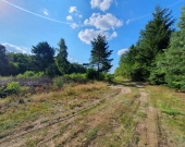 Krucza blisko Złotej, wz, lokalizacja, media | Zdjęcie 1