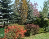 DOM pod Lublinem - Dąbrowica | Zdjęcie 8