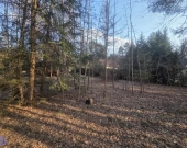 lasy, warunki zabudowy, sąsiedztwo, lokalizacja | Zdjęcie 2