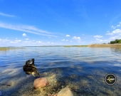 Działka, Nowe Guty | Zdjęcie 4