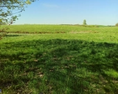 Działka z WZ w Liwie | Zdjęcie 2