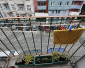 3pok, 46met, okolice Pereca BALKON/PIWNICA/WINDA (Wrocław) | Zdjęcie 14