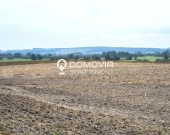 Dom murowany z gruntami rolnymi 2,55 ha Suchowola k. Zamościa | Zdjęcie 6