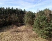 Działka nad Zalewem w Rydzynie | Zdjęcie 1