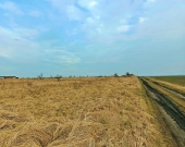 Sprzedaż działki budowlanej w okolicach Środy Śląskiej. | Zdjęcie 5