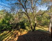 Duża działka ze starodrzewiem i domem w Józefowie | Zdjęcie 5