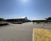 Budynek Produkcyjny/Hala | Zdjęcie 7