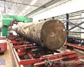 Oferta sprzedaży przedsiębiorstwa - branża drzewna | Zdjęcie 7